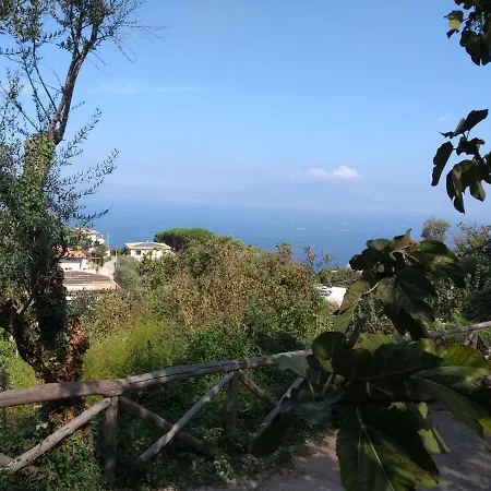 Anna Belle Elegant Agriresort