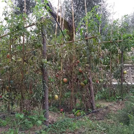 Anna Belle Elegant Agriresort