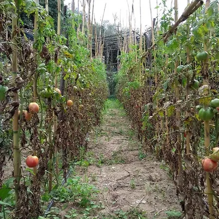 Anna Belle Elegant Agriresort Üdülőközpont Sorrento