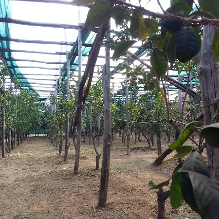 Anna Belle Elegant Agriresort 度假村 4*