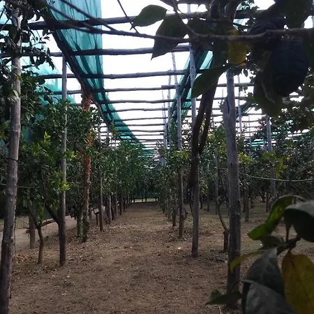 Anna Belle Elegant Agriresort Сорренто