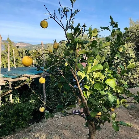 Üdülőközpont Anna Belle Elegant Agriresort Sorrento