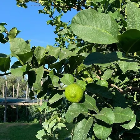 Anna Belle Elegant Agriresort Üdülőközpont Sorrento