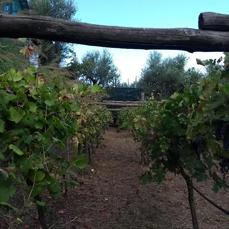 Anna Belle Elegant Agriresort Üdülőközpont Sorrento