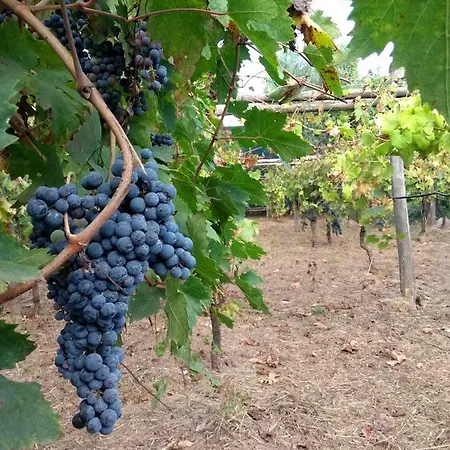 Anna Belle Elegant Agriresort