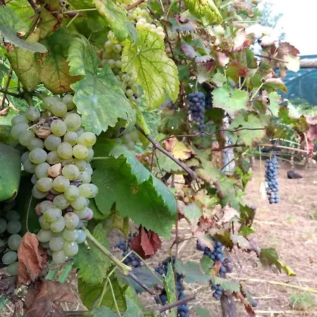 Anna Belle Elegant Agriresort Sorrento