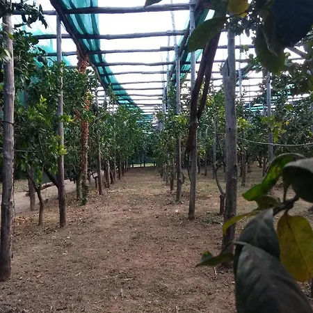 Anna Belle Elegant Agriresort Sorrento