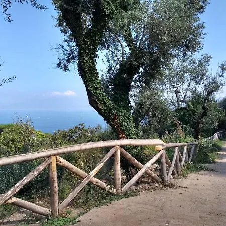 Semesteranläggning (resort) Anna Belle Elegant Agriresort