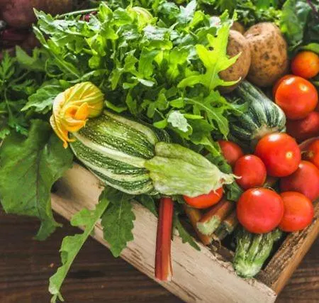 Anna Belle Elegant Agriresort Semesteranläggning (resort) Sorrento